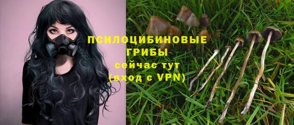 прущая мука Белоозёрский