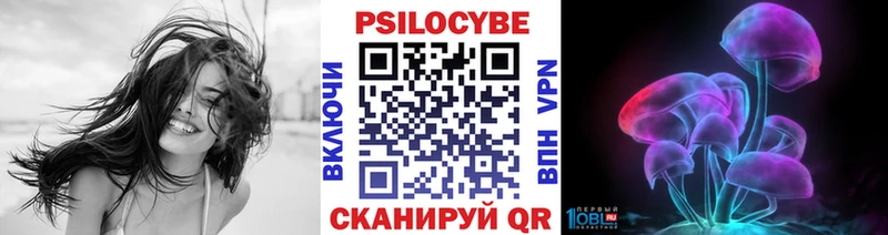 Купить где  Меленки  Псилоцибиновые грибы MAGIC MUSHROOMS 